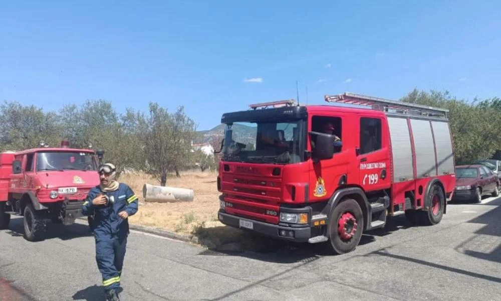 Φωτιά στη Μαγνησία: Μήνυμα από το 112 στην περιοχή Άσπρες Πεταλούδες (εικόνες)